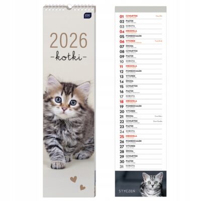 Kalendarz ścienny paskowy 13,5x50cm Koty Interdruk