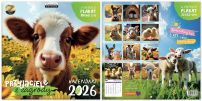 kwadratowy 30x30 cm kalendarz ścienny 2026 Przyjaciele z zagrody